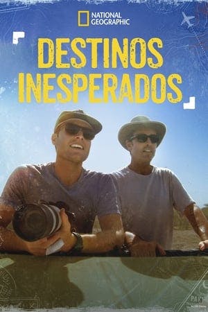 Destinos Inesperados (Rogue Trip) Online em HD