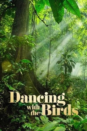 Dança dos Pássaros Online em HD