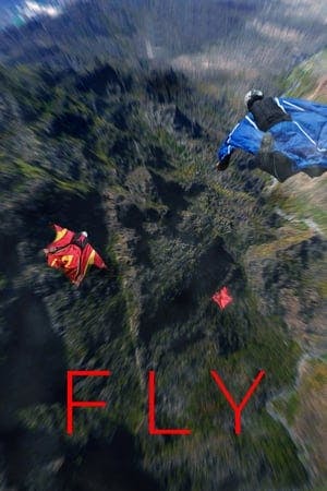 Fly Online em HD