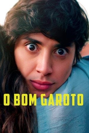O Bom Garoto Online em HD