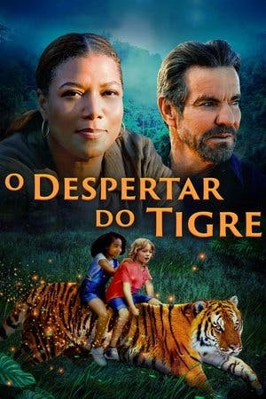 O Despertar do Tigre Online em HD