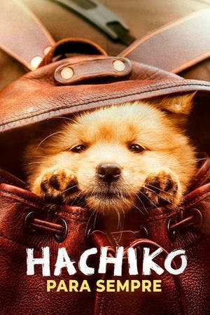 Hachiko: Para Sempre Online em HD