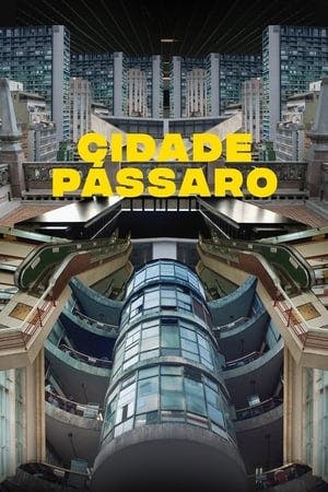 Cidade Pássaro Online em HD