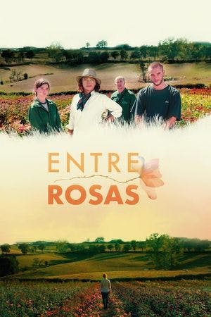 Entre Rosas Online em HD