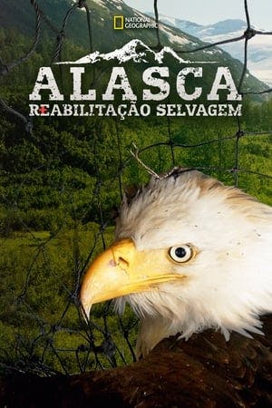 Alasca: Reabilitação Selvagem Online em HD