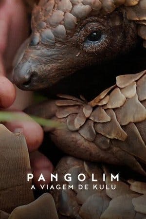 Pangolim: A Viagem de Kulu Online em HD