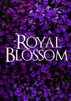 Royal Blossom Online em HD