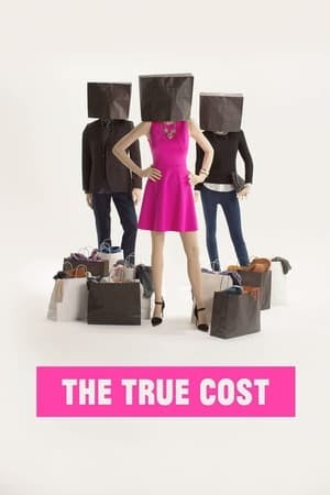 The True Cost Online em HD