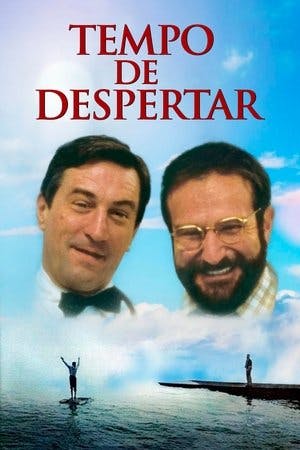 Tempo de Despertar Online em HD