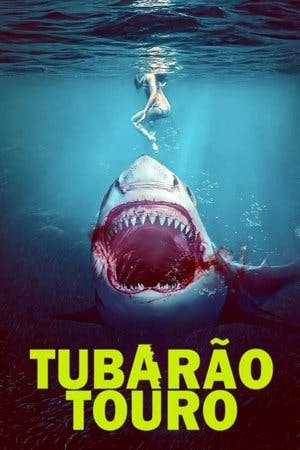 Tubarão Touro Online em HD