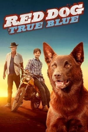 Cão Vermelho: True Blue Online em HD