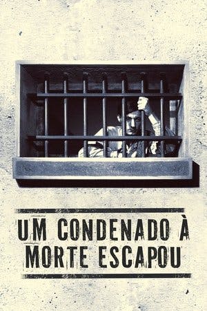 Um Condenado à Morte Escapou Online em HD