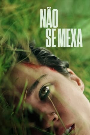 Assistir Não Se Mexa Online em HD