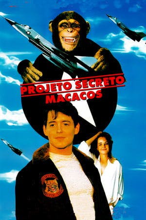 Projeto Secreto, Macacos Online em HD