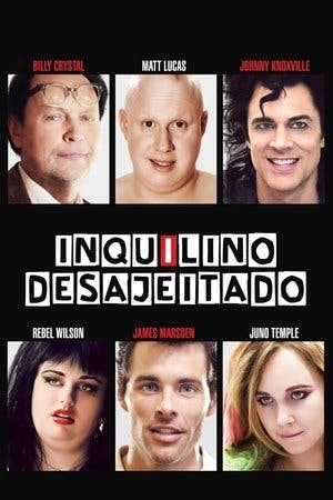 Inquilino Desajeitado Online em HD