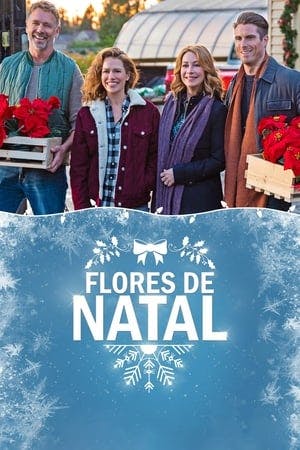 Flores de Natal Online em HD