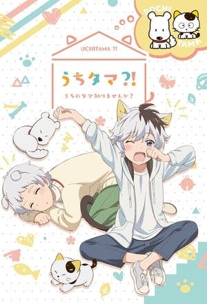 Uchi Tama?! Uchi no Tama Shirimasen ka? Online em HD
