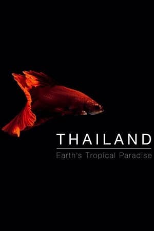 Thailand: Earth’s Tropical Paradise Online em HD