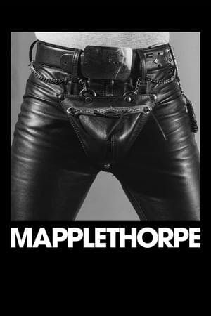 Mapplethorpe Online em HD