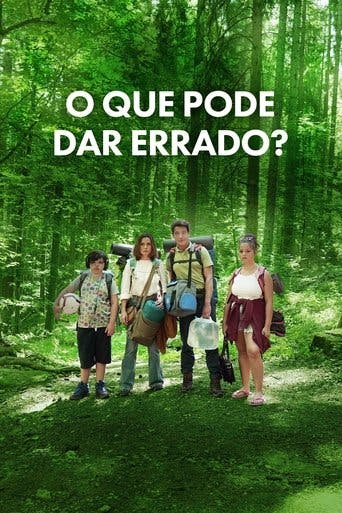 O Que Pode Dar Errado? poster
