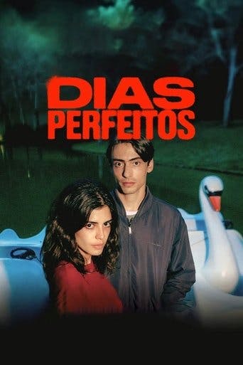 Dias Perfeitos poster