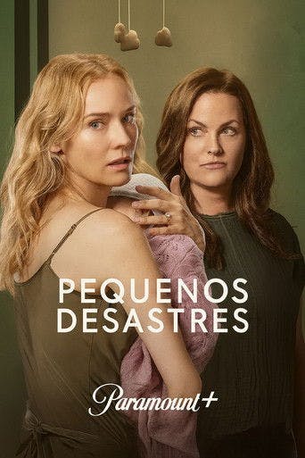 Pequenos Desastres poster