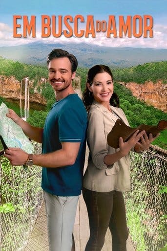 Em Busca do Amor poster