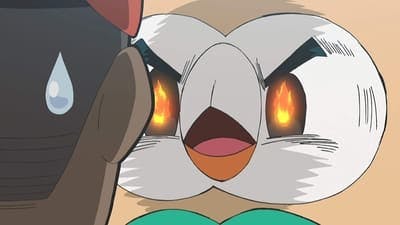 Assistir Pokémon Temporada 22 Episódio 40 Online em HD