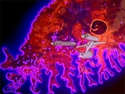 Assistir Jornada nas Estrelas Temporada 2 Episódio 18 Online em HD