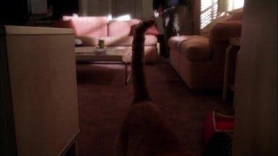 Assistir NCIS: Investigação Naval Temporada 3 Episódio 20 Online em HD