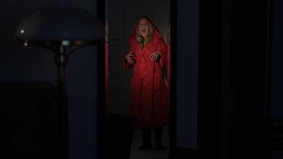 Assistir Arquivo X Temporada 3 Episódio 21 Online em HD