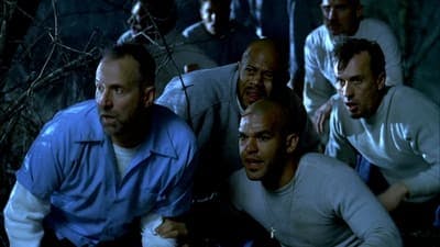 Assistir Prison Break: Em Busca da Verdade Temporada 1 Episódio 22 Online em HD