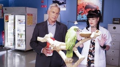 Assistir NCIS: Investigação Naval Temporada 14 Episódio 3 Online em HD