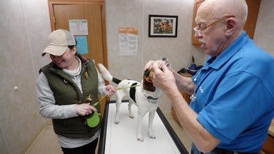 Assistir Clínica Animal com Dr. Pol Temporada 24 Episódio 8 Online em HD