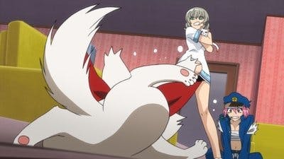 Assistir Binbougami Ga! Temporada 1 Episódio 10 Online em HD