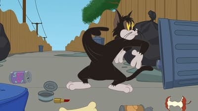 Assistir O Show de Tom e Jerry Temporada 2 Episódio 72 Online em HD