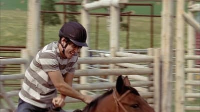 Assistir Heartland Temporada 1 Episódio 4 Online em HD