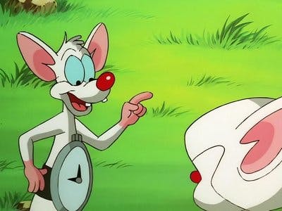 Assistir Pinky e o Cérebro Temporada 3 Episódio 1 Online em HD
