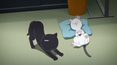 Assistir Ramen Akaneko Temporada 1 Episódio 2 Online em HD