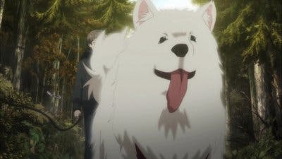 Assistir Sakurako-san no Ashimoto ni wa Shitai ga Umatteiru Temporada 1 Episódio 11 Online em HD