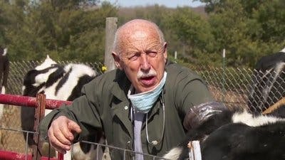 Assistir Clínica Animal com Dr. Pol Temporada 20 Episódio 3 Online em HD