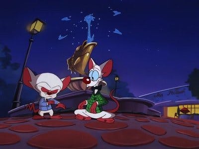 Assistir Pinky e o Cérebro Temporada 3 Episódio 40 Online em HD