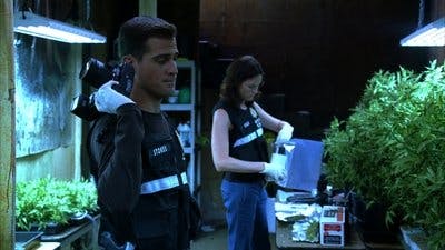 Assistir CSI: Investigação Criminal Temporada 6 Episódio 5 Online em HD