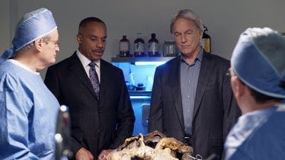 Assistir NCIS: Investigação Naval Temporada 15 Episódio 8 Online em HD