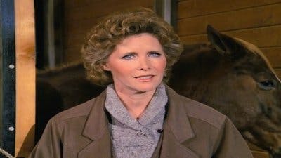 Assistir Dallas Temporada 8 Episódio 20 Online em HD