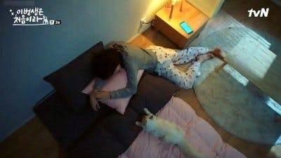 Assistir Porque Esta é a Minha Primeira Vida Temporada 1 Episódio 3 Online em HD