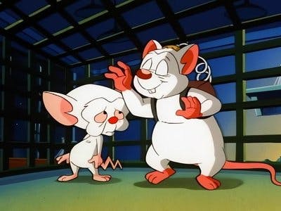 Assistir Pinky e o Cérebro Temporada 1 Episódio 19 Online em HD