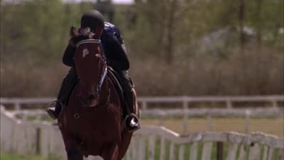 Assistir Heartland Temporada 4 Episódio 2 Online em HD