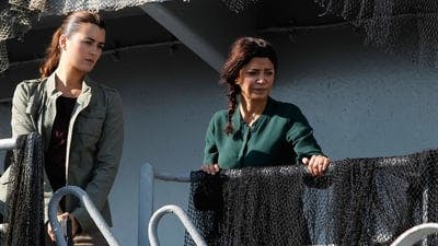 Assistir NCIS: Investigação Naval Temporada 9 Episódio 5 Online em HD