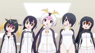 Assistir Kemono Friends Temporada 2 Episódio 8 Online em HD